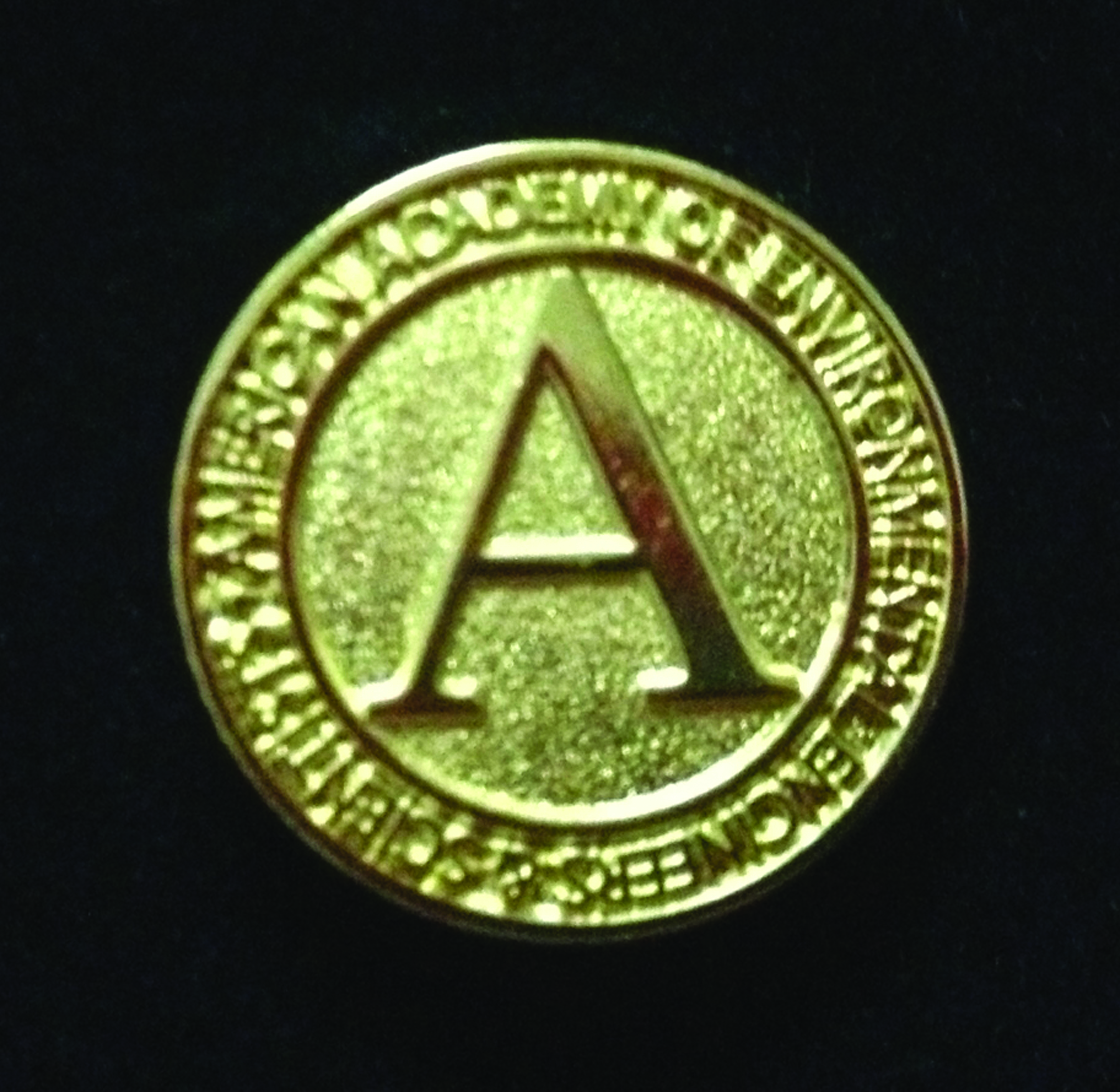 lapel pin